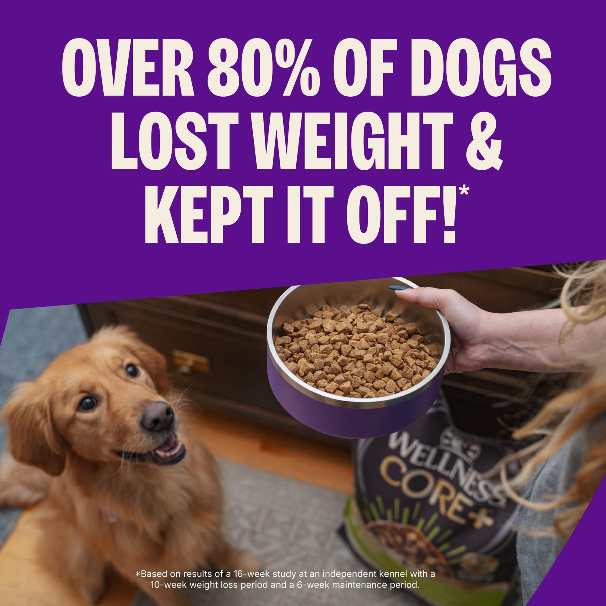 Wellness CORE+ croquetas sin granos para perros activos y en forma