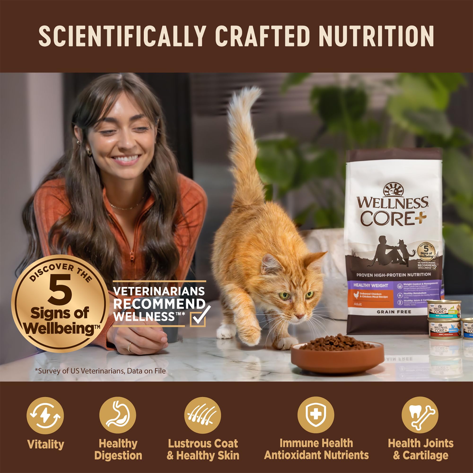 Croquetas Wellness CORE+ para gatos, sabor pollo, apoyo al control de peso
