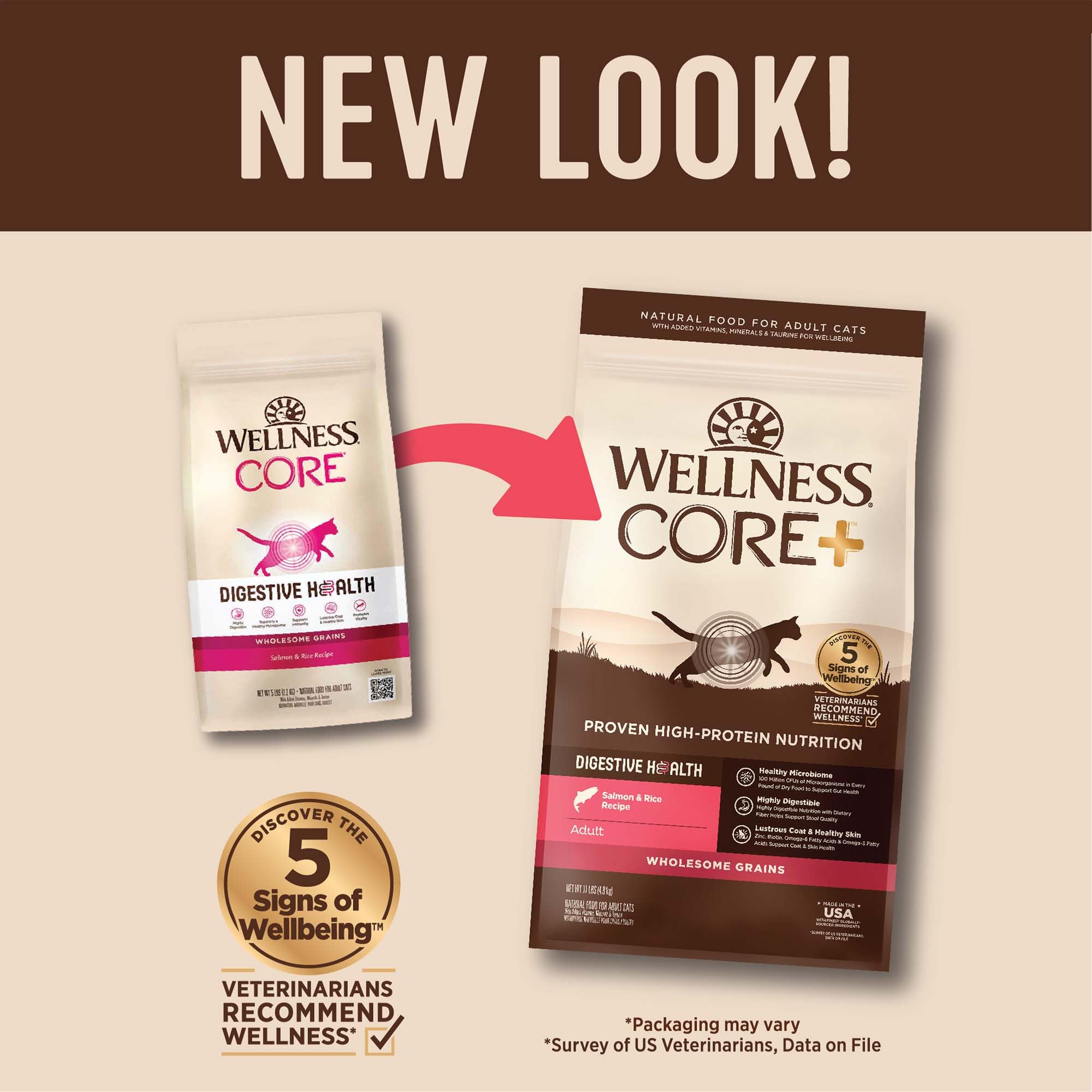 Gato disfruta Wellness CORE+ alimento seco, aroma natural y apetito.