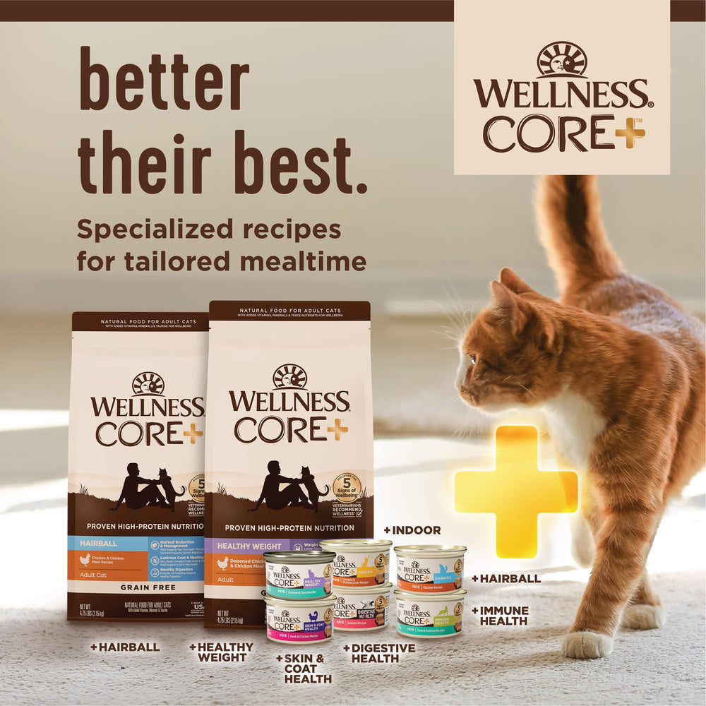 Wellness CORE+ Indoor Pate, textura cremosa ideal para racionamiento diario.