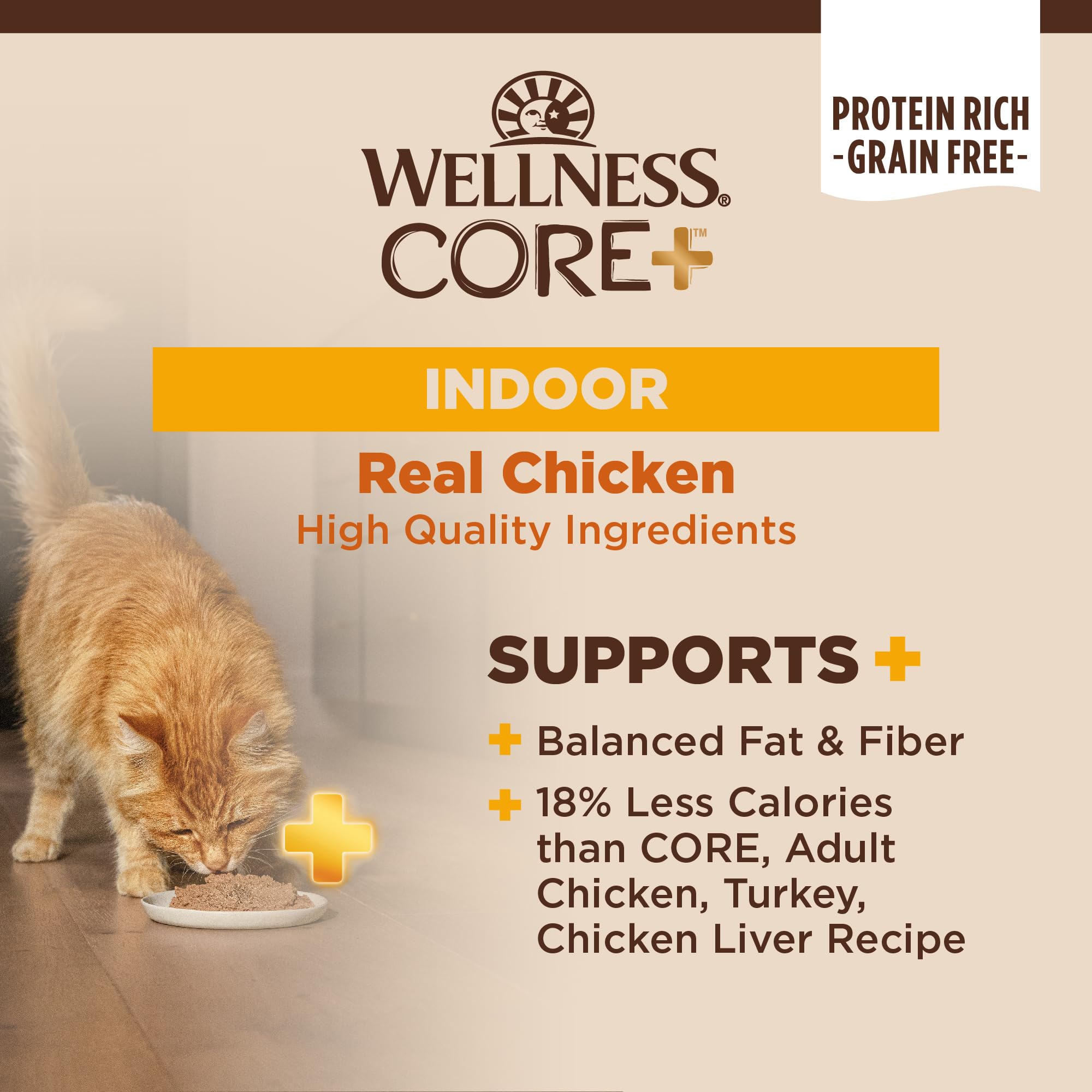 Wellness CORE+ Indoor Pate: textura paté suave para comer con facilidad.
