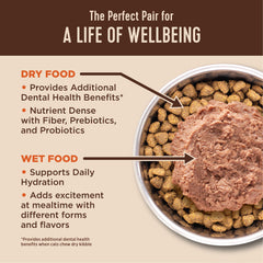 Etiqueta de Wellness CORE+ con L-Carnitina, apoyo al metabolismo de grasa