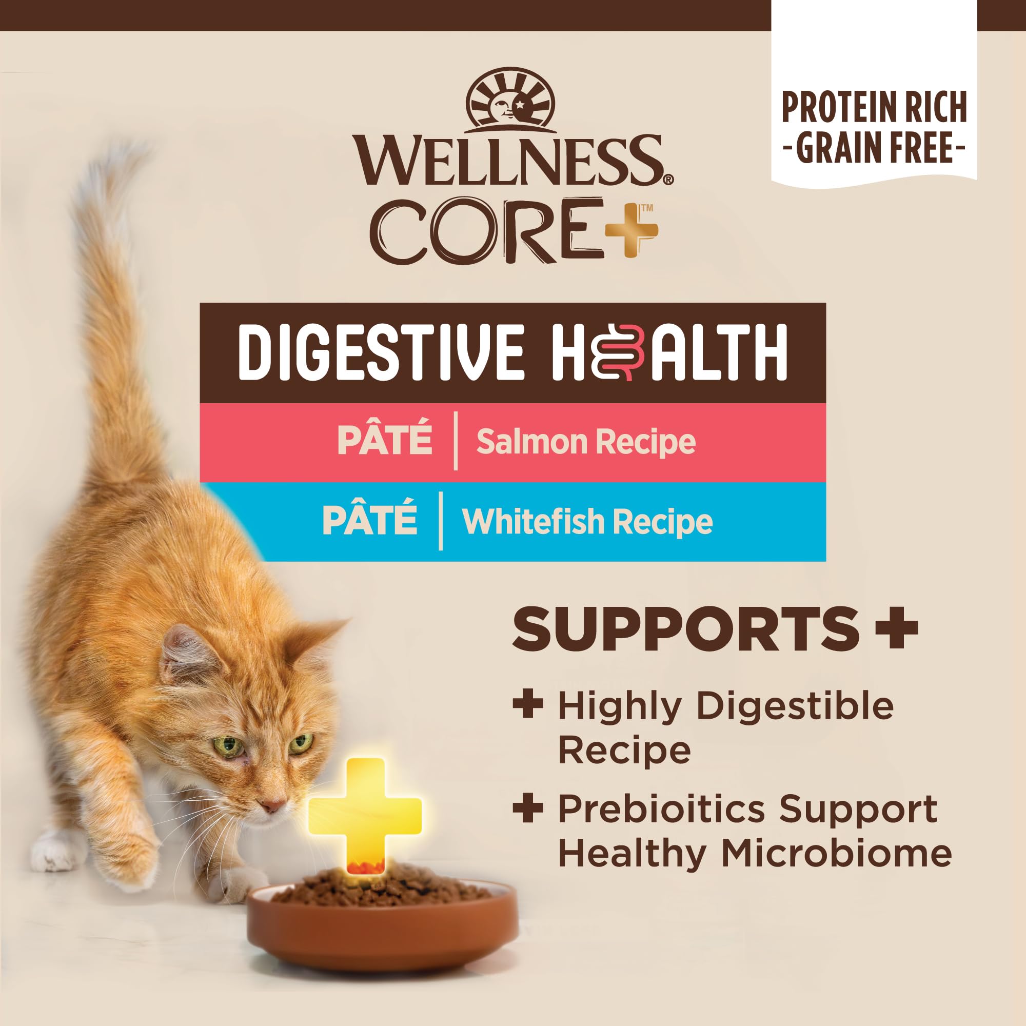 Wellness CORE+ Pate Digestiva con salmón y pescado blanco, ingredientes visibles de calidad