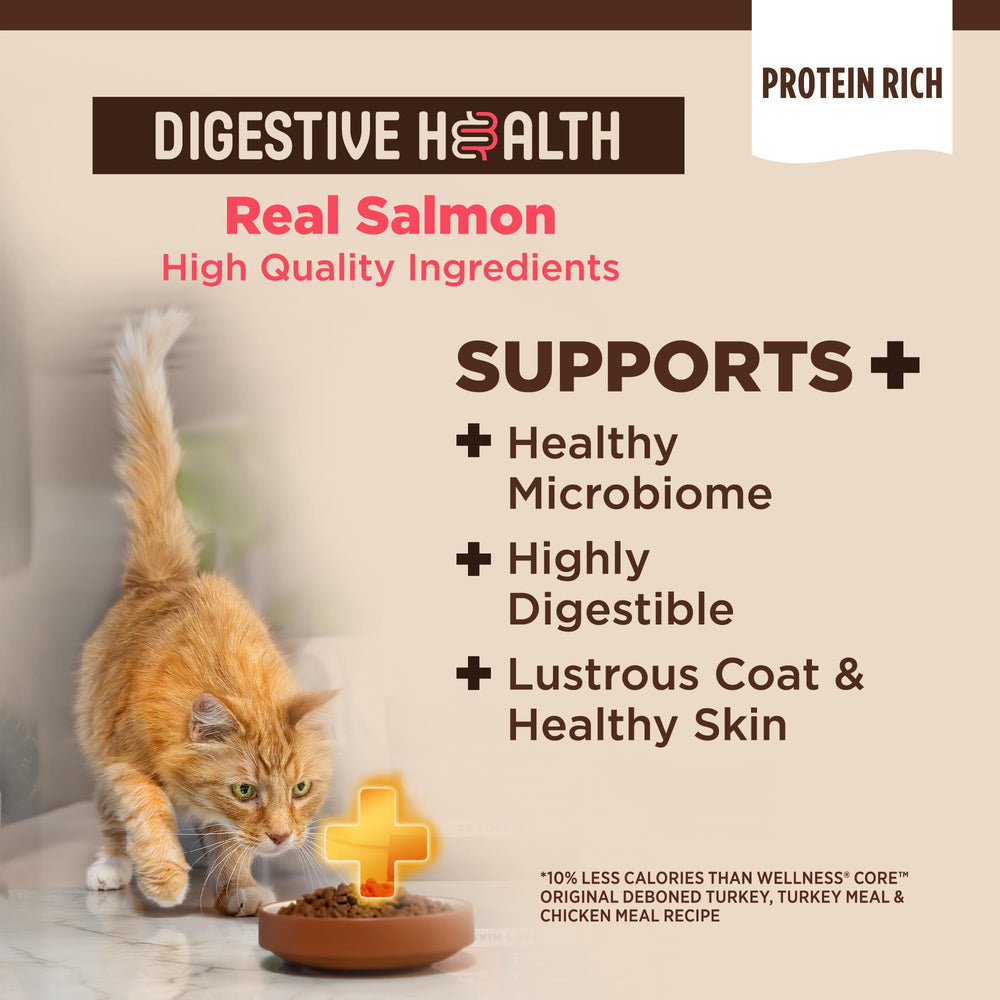 Wellness CORE+ Detalle de recubrimiento probiótico para digestión, alimento seco para gatos.