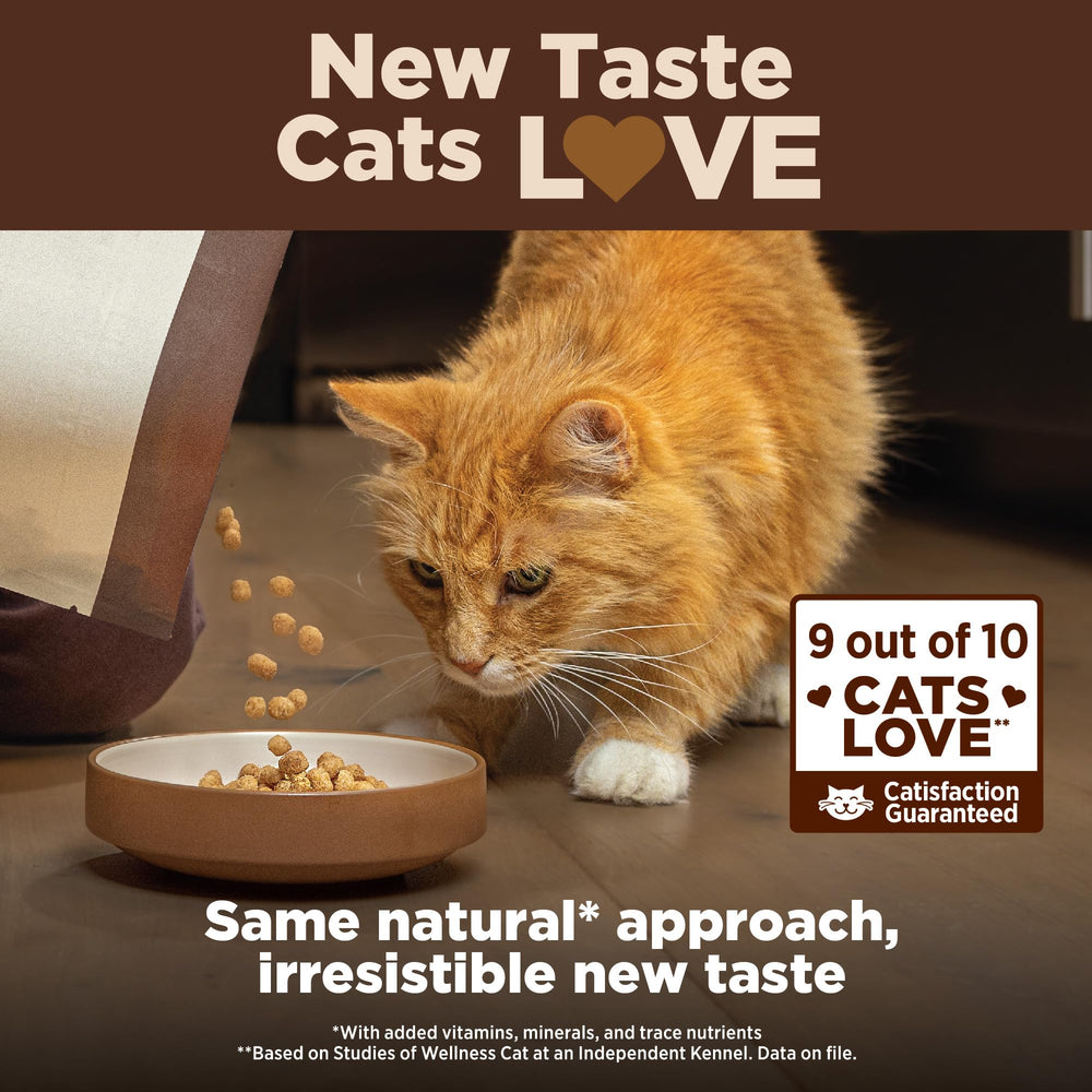 Wellness CORE+ Sabor a salmón y arenque para gatos selectos