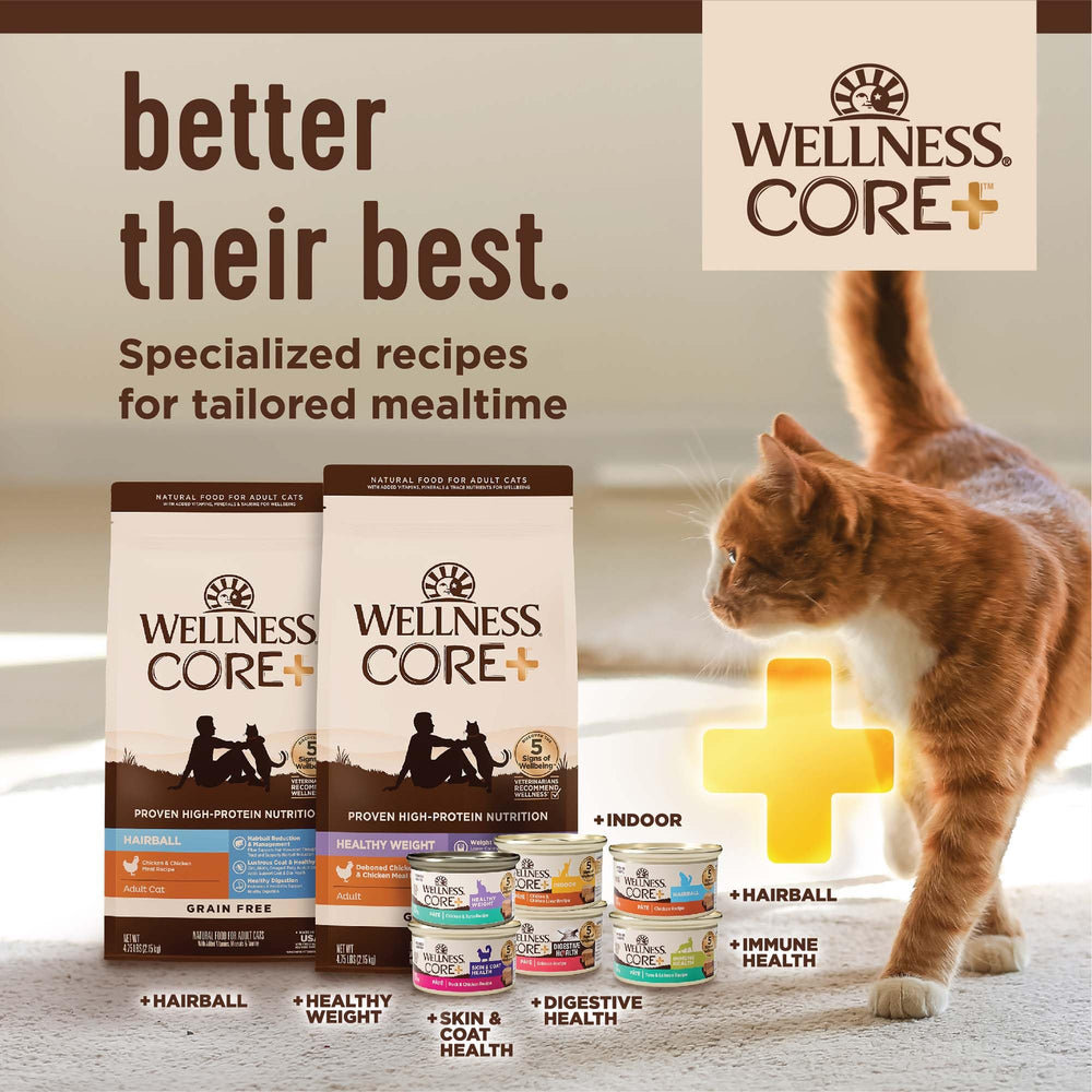 Wellness CORE+ ofrece texturas variadas para satisfacer preferencias del gato.