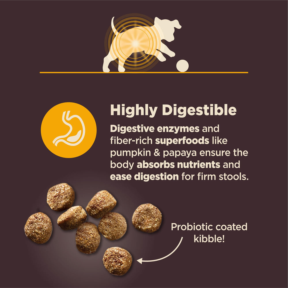 Wellness CORE Salud Digestiva: DHA/EPA, desarrollo cerebral y crecimiento óseo en cachorros.
