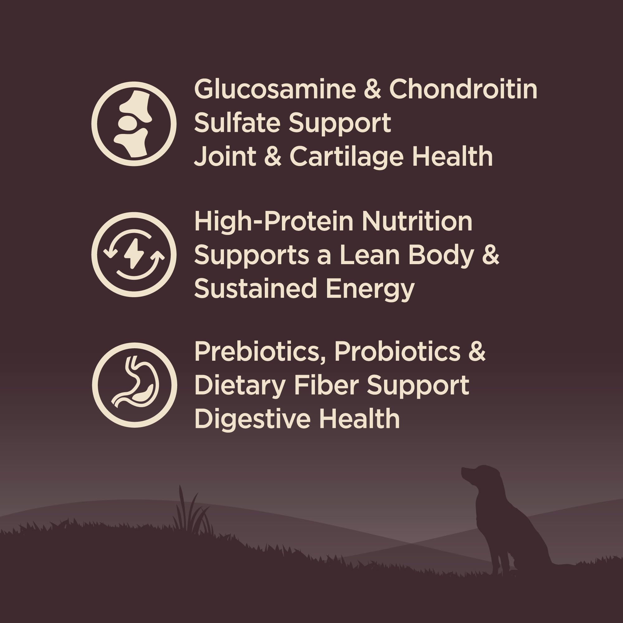 Wellness CORE Senior: sabor nutritivo que disfruta el perro cada comida.