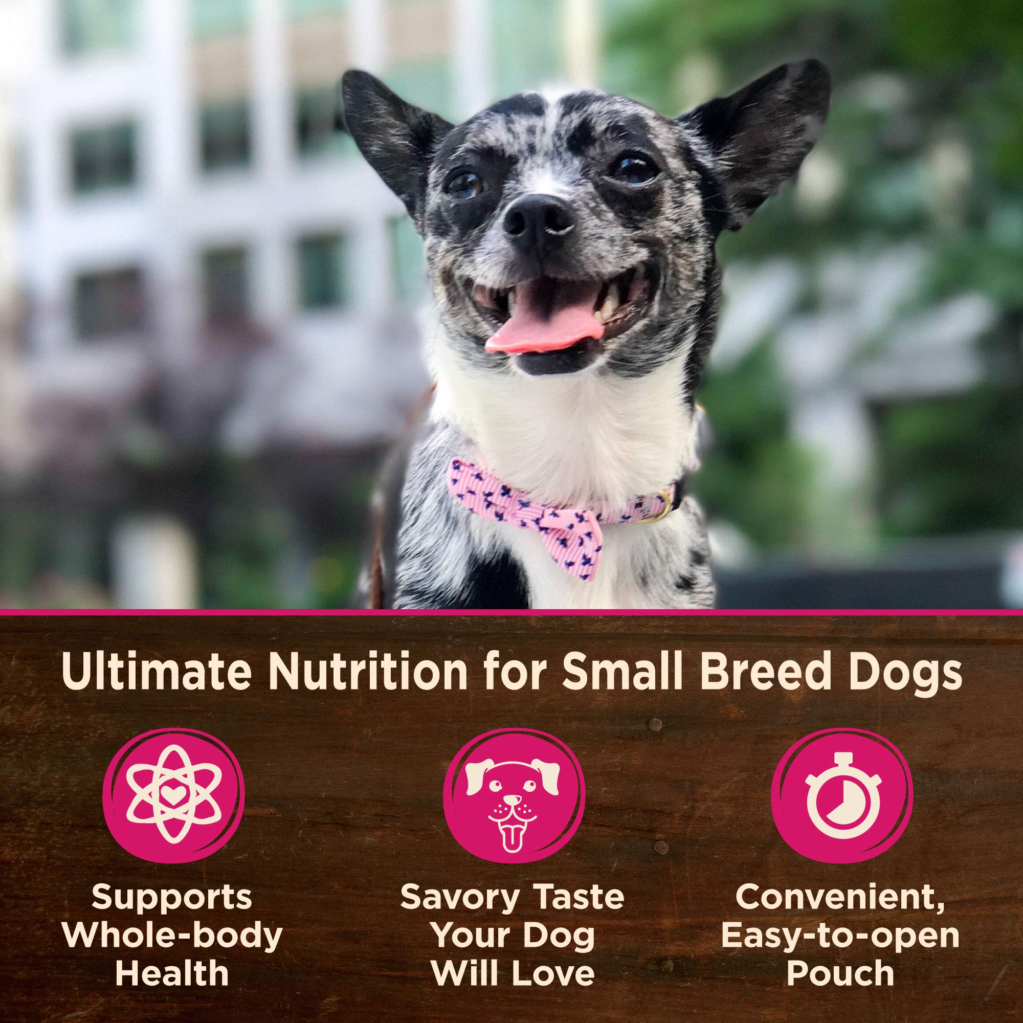Wellness CORE, fórmula sin maíz, trigo ni soya para perros pequeños.