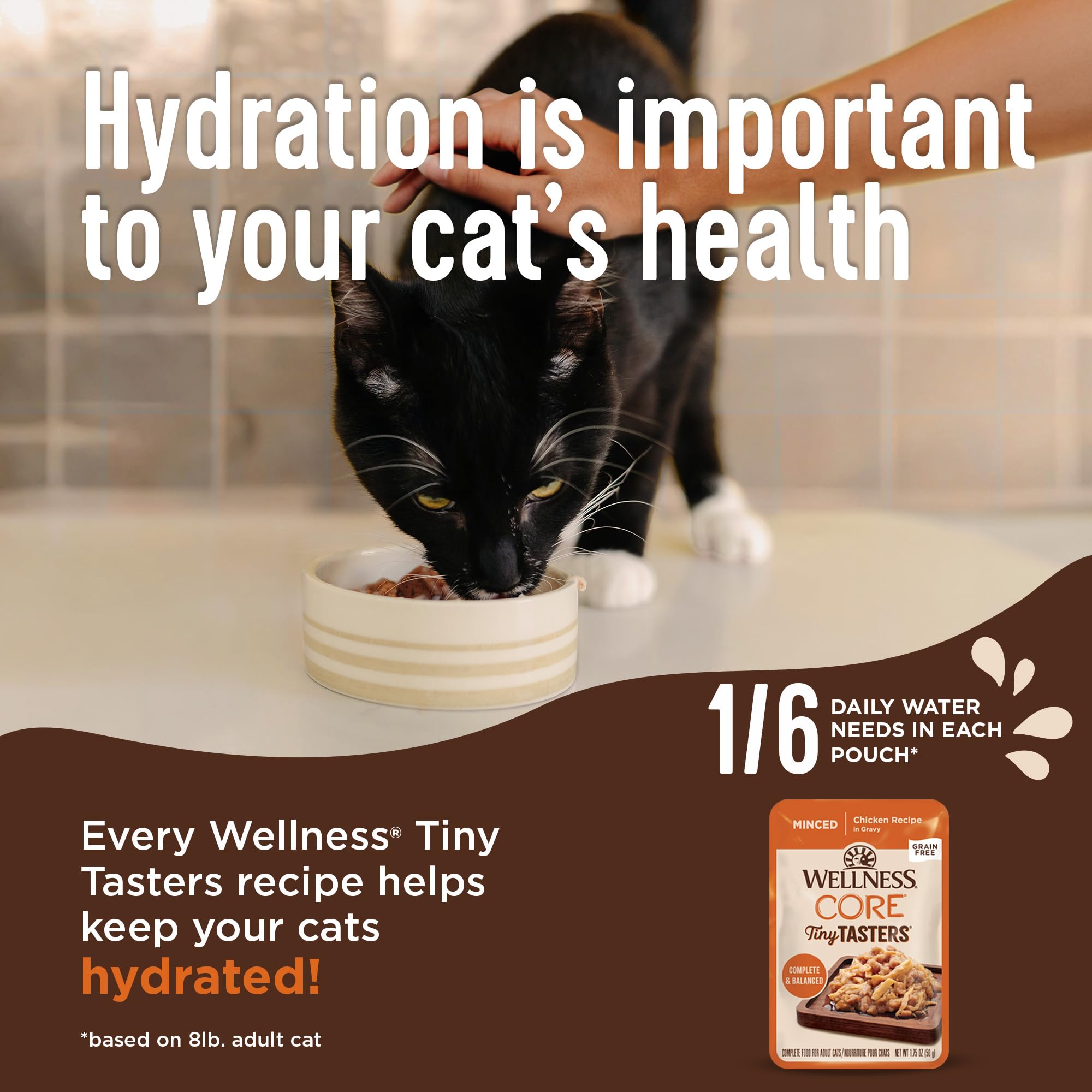 Wellness CORE, sin granos, pollo de calidad para gatitos sensibles.