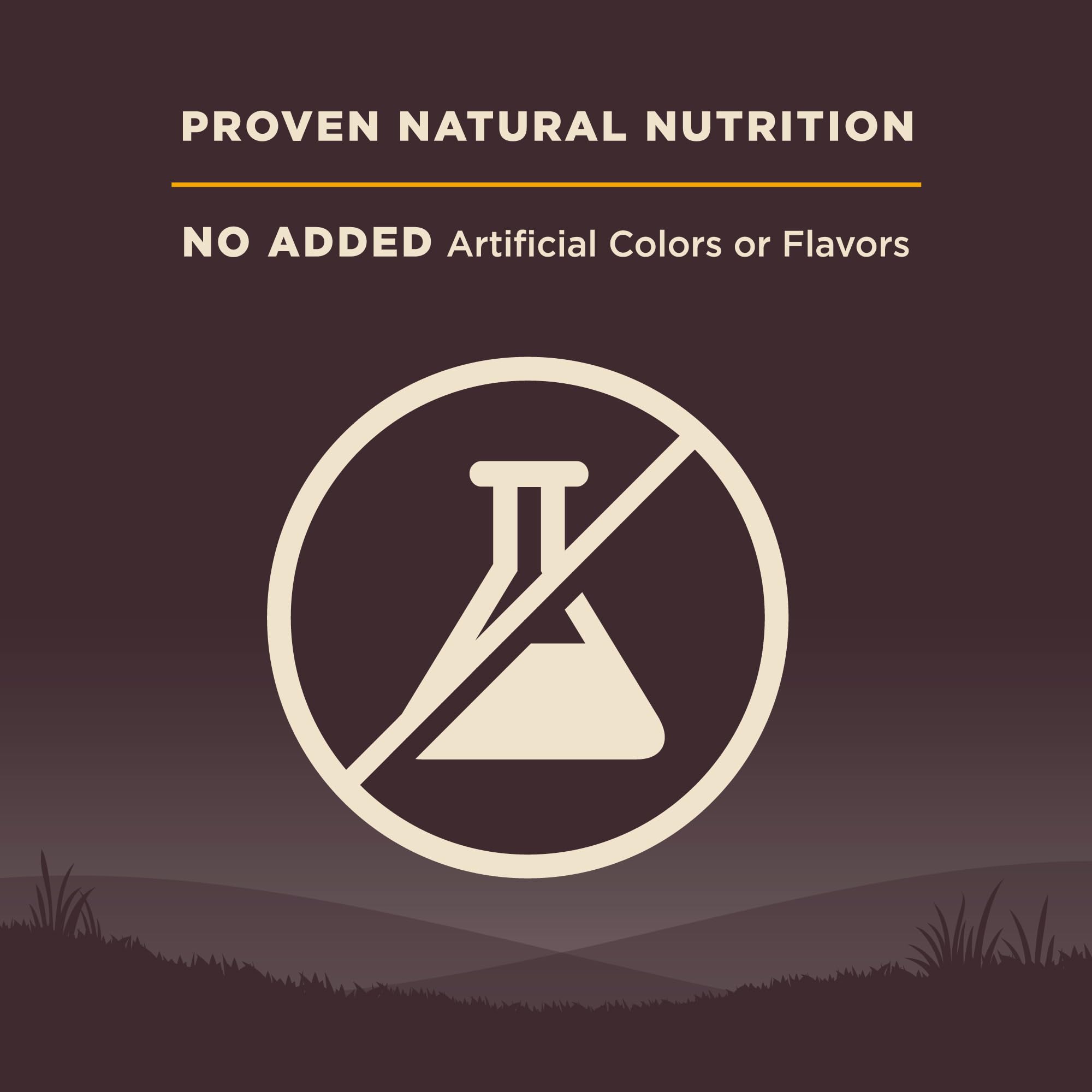 Wellness CORE: sin granos, opción de dieta basada en proteína animal.