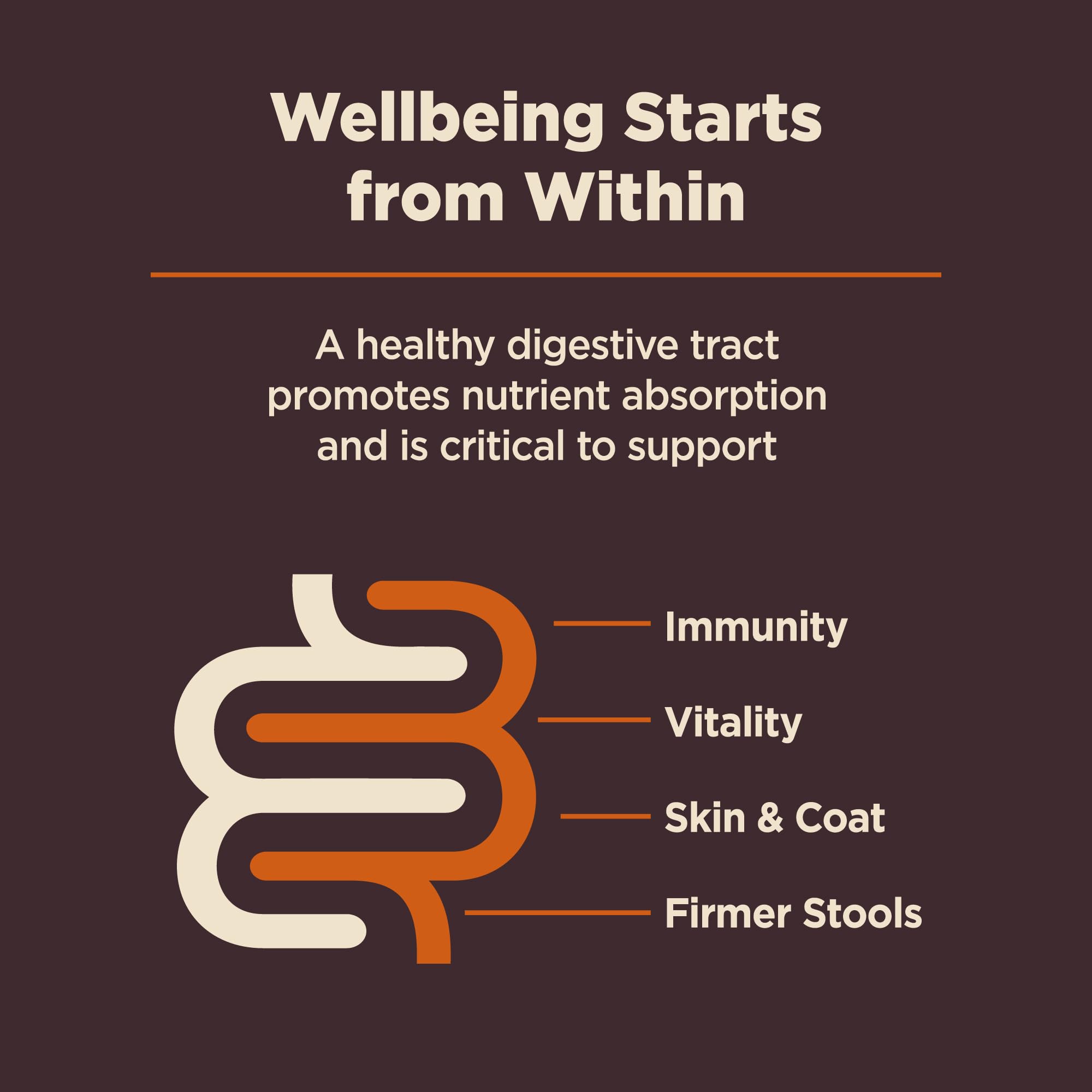 Wellness CORE Sistema Inmunológico, apoyo microbiano para salud general.