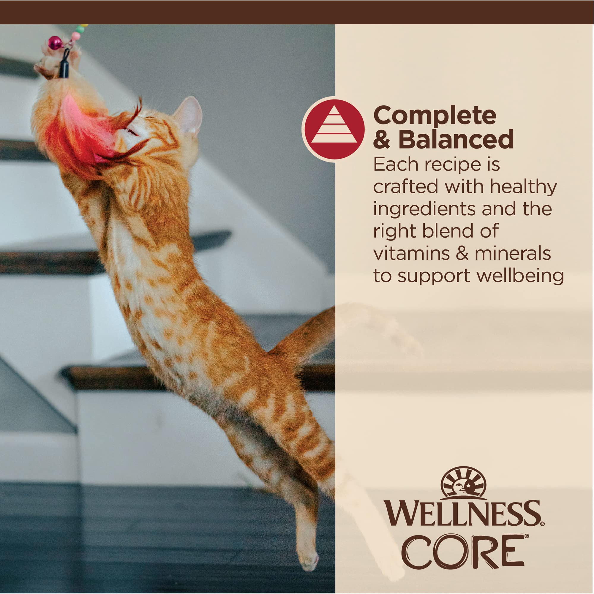 Wellness CORE Tiny Tasters, porciones individuales fáciles de servir, sin necesidad de abrelatas.