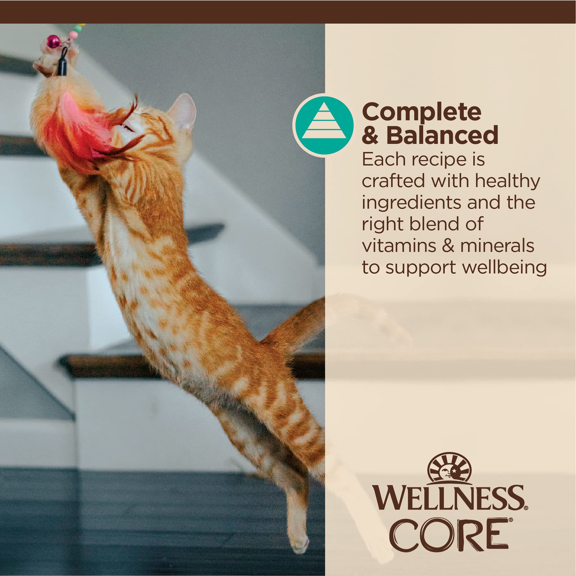 Wellness CORE Tiny Tasters promueve hidratación diaria al ser alimento húmedo.