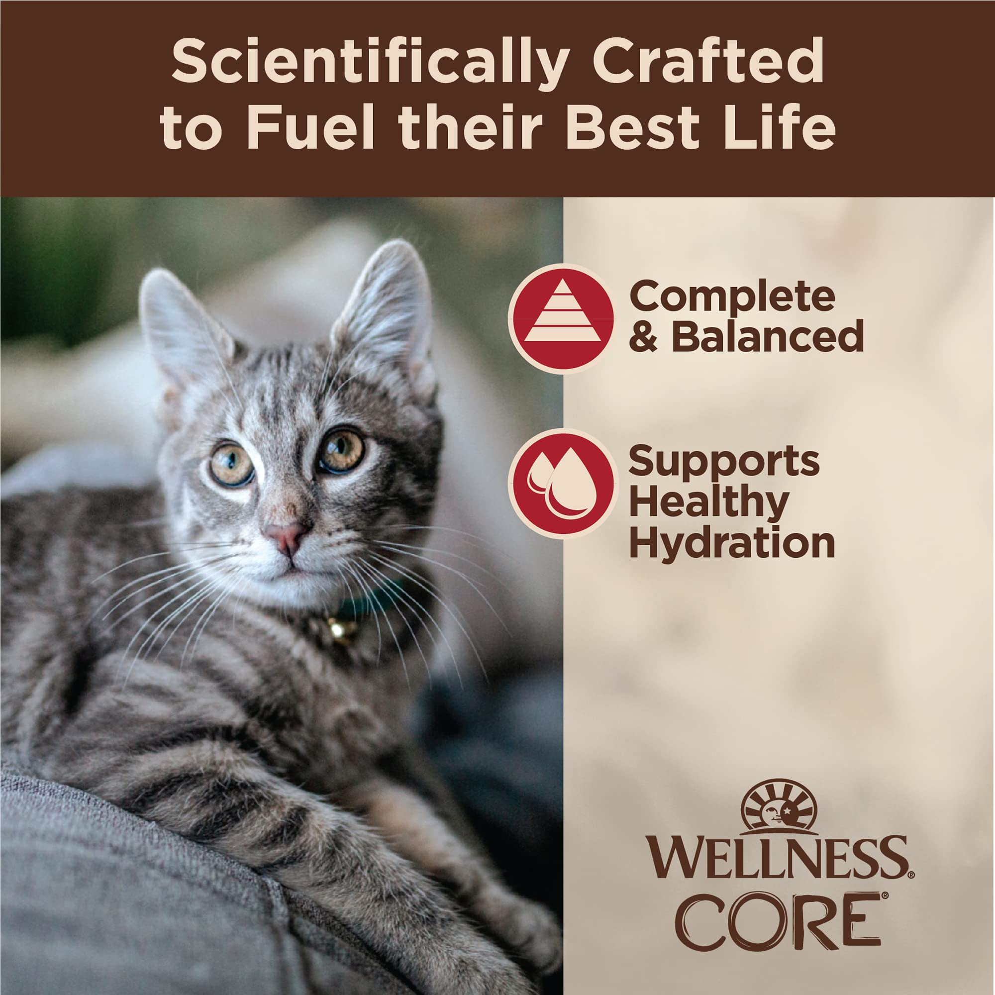 Wellness CORE Tiny Tasters, textura picada atractiva para gatos curiosos y paladares exigentes.