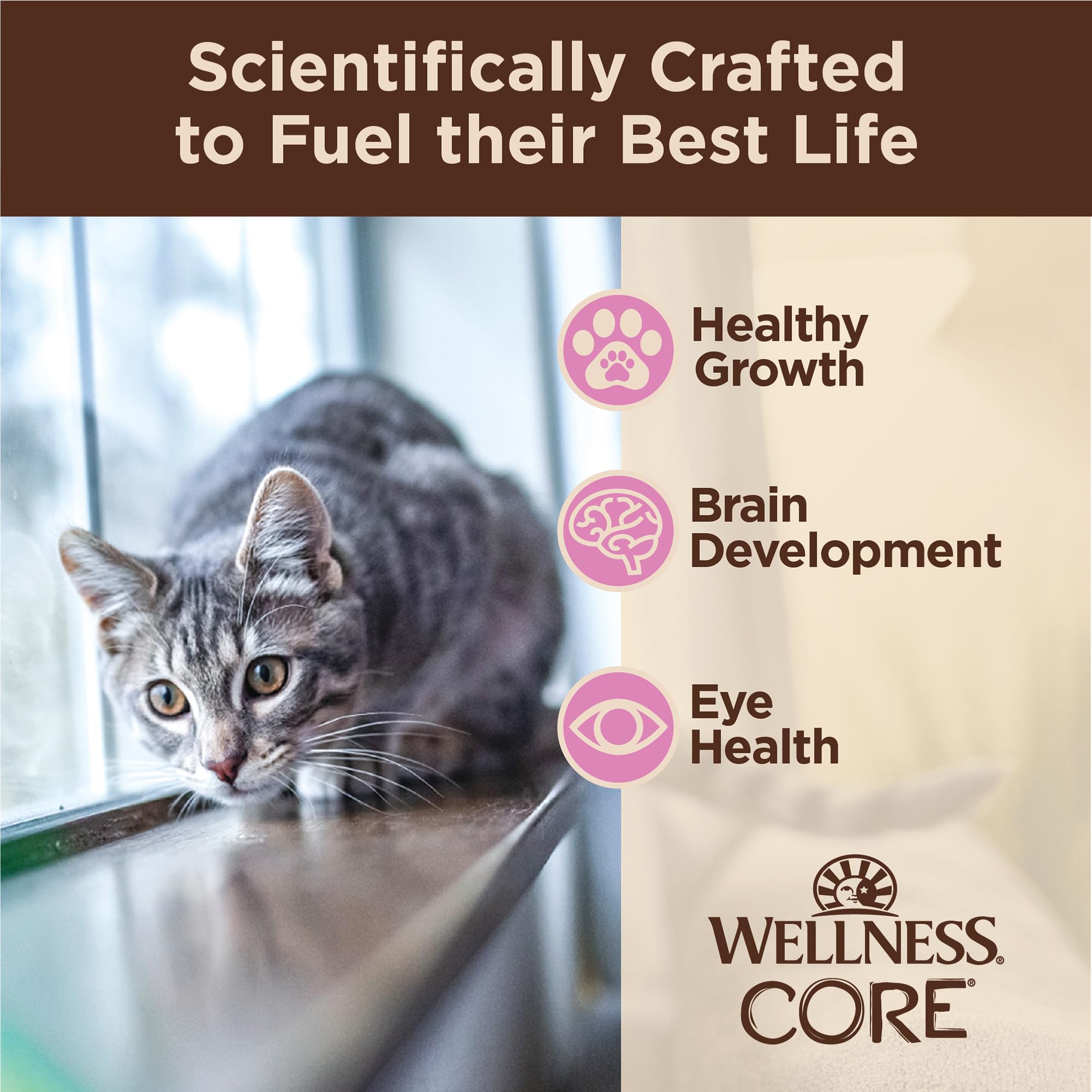 Wellness CORE Tiny Tasters Kitten - ingredientes de alta calidad, sin granos.