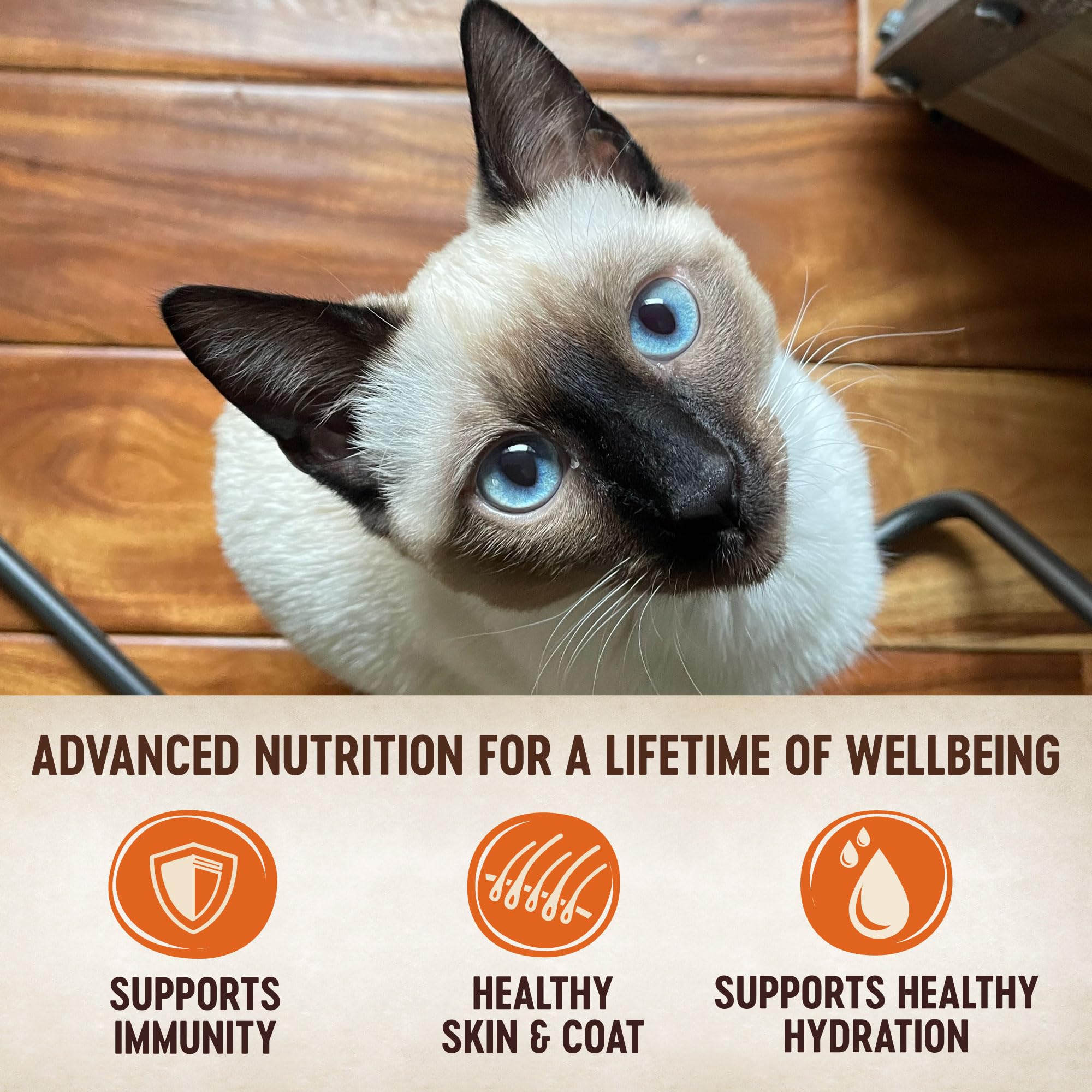 Paté sin maíz, trigo ni soja de Wellness CORE para gatos.