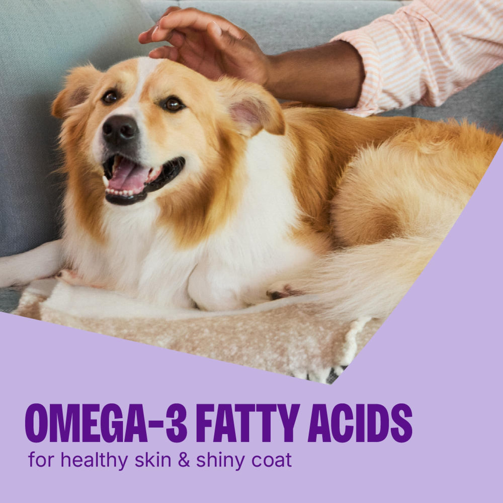 Wellness CORE Tiny Trainers, golosinas sin granos con Omega-3 y linaza.