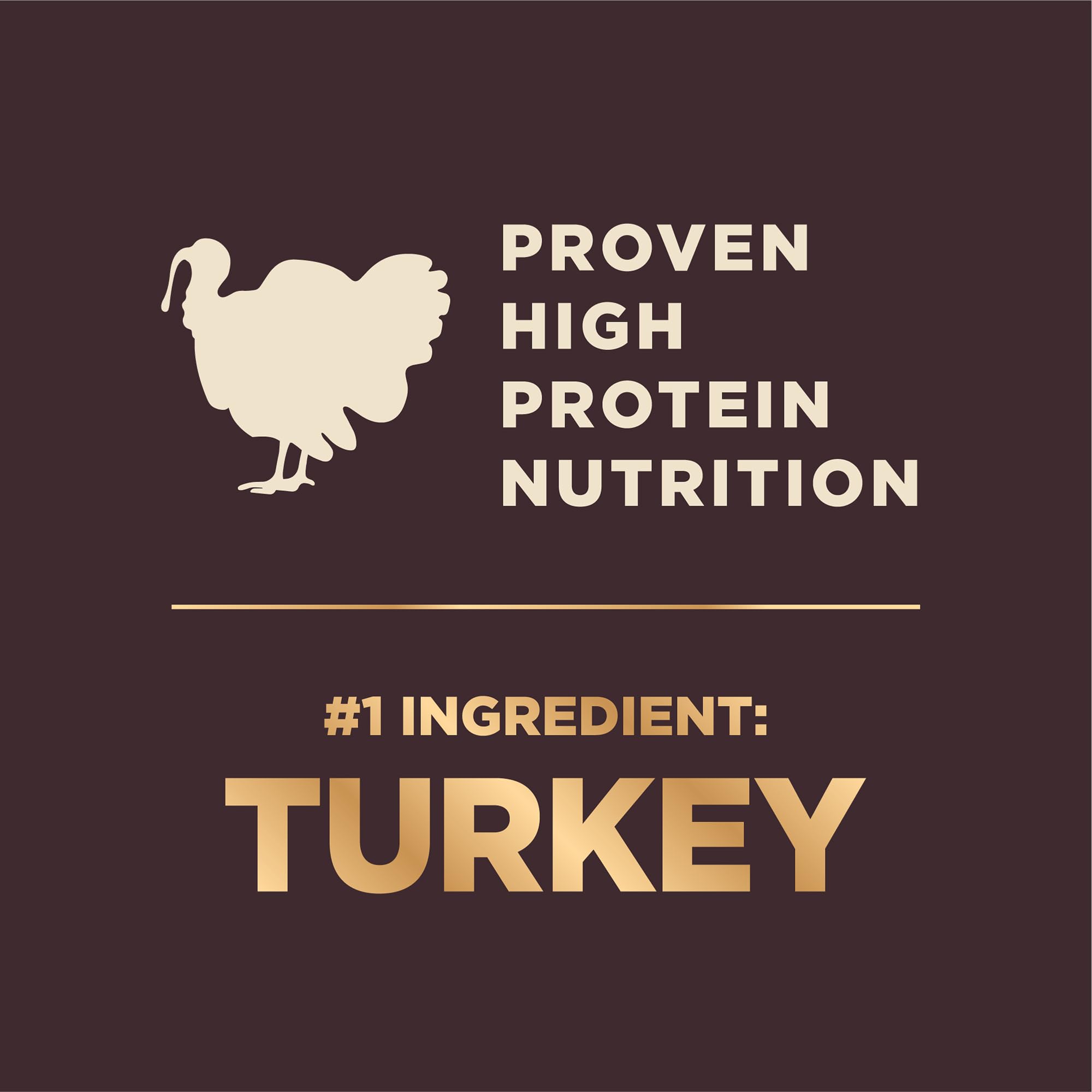 Wellness CORE+ dieta seca con probióticos para salud digestiva en perros pequeños.