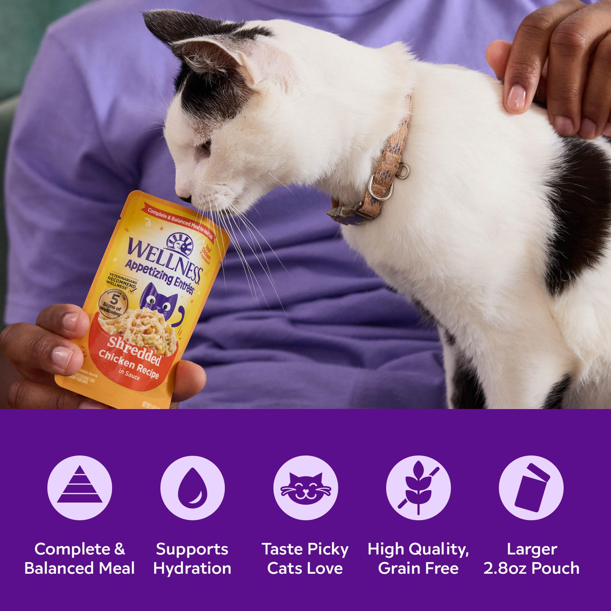 Wellness Entradas Apetitosas, variedad de sabores para gatos adultos.