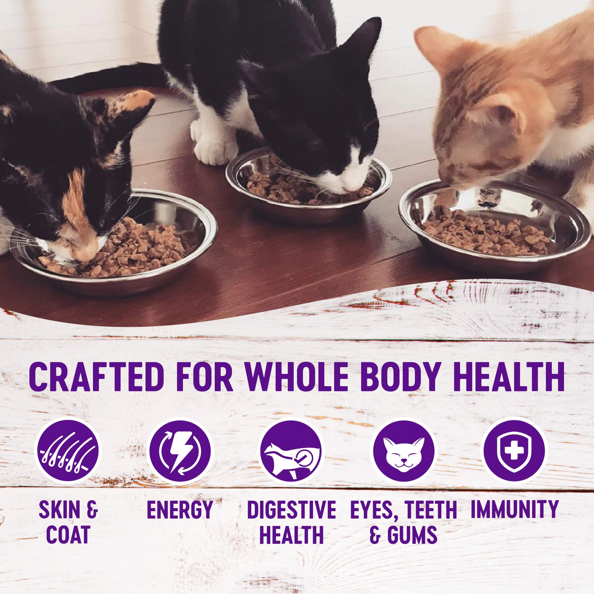 Wellness fórmula sin granos para gatos, opción natural y suave.