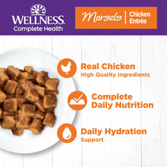 Wellness Gato comida húmeda de pollo sin granos para nutrición equilibrada.
