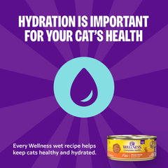 Wellness hidratación diaria con comida húmeda para gato.