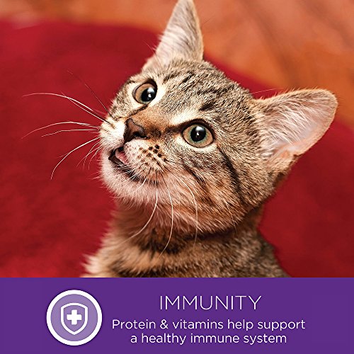 Wellness Indulgence nutrición natural con proteína de calidad para gatos adultos.