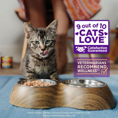 Wellness Indulgence Sin Cereales Gato: opción sin granos para una dieta limpia.