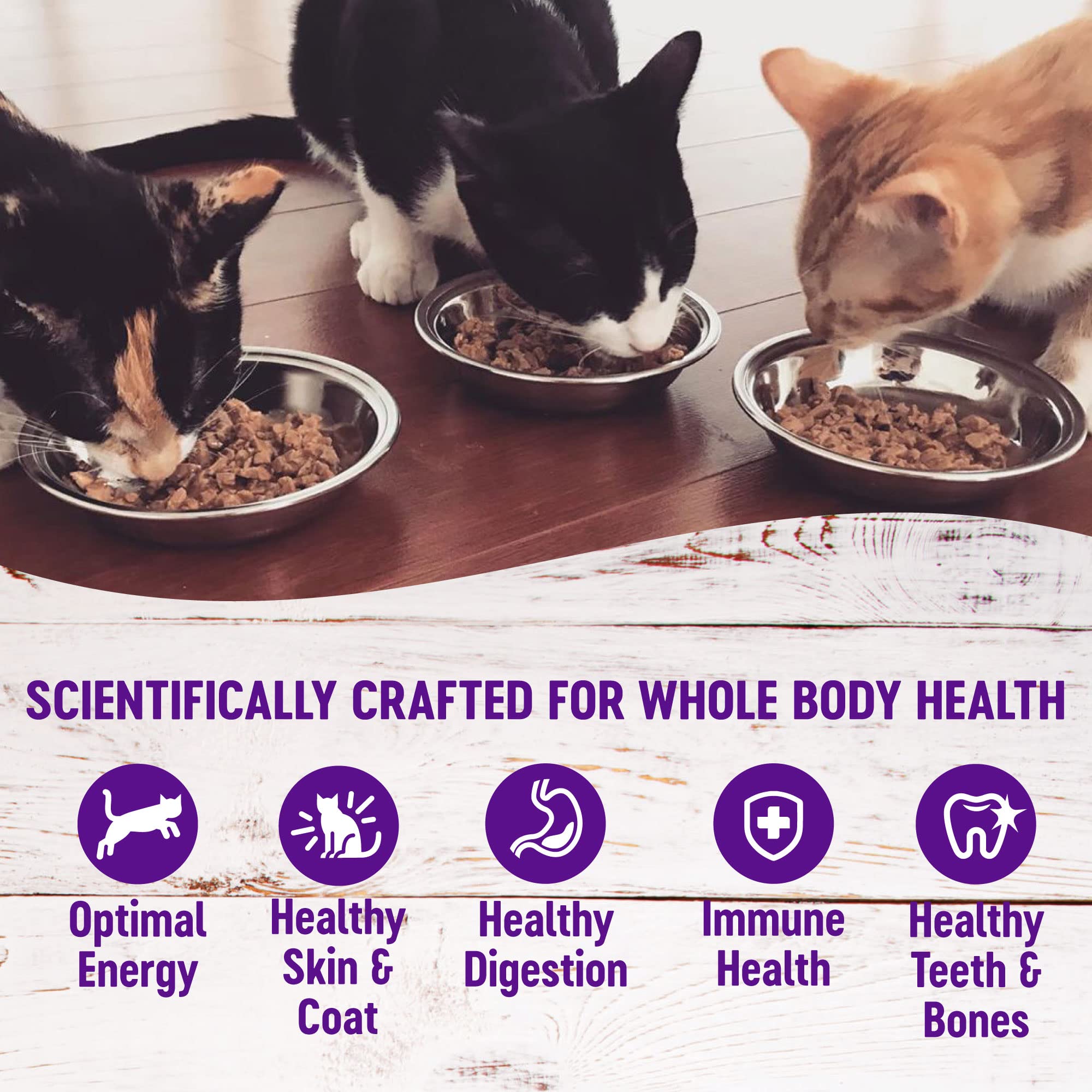 Wellness Indulgence Sin Trigo Maiz Soja Gato: sin maíz, trigo ni soya para mayor compatibilidad.