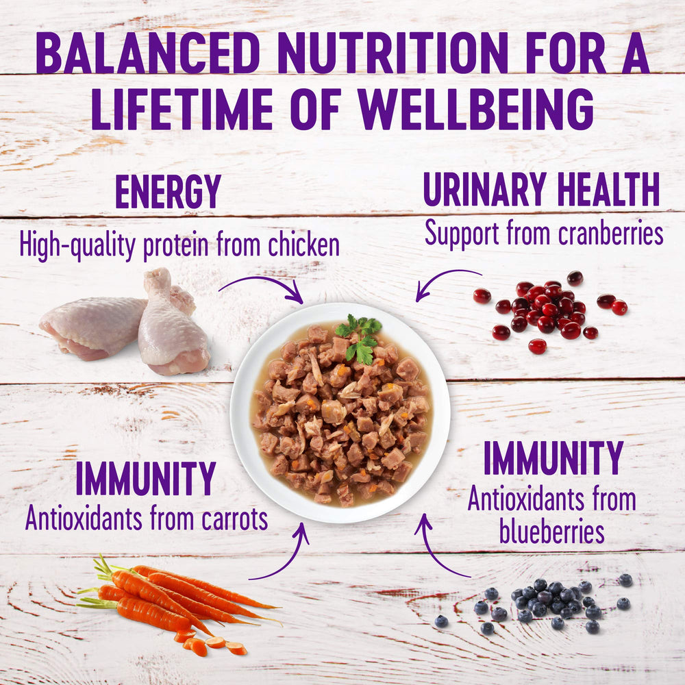 Wellness ingredientes clave pollo y pavo, proteína real para gatos activos.
