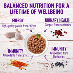 Wellness ingredientes clave pollo y pavo, proteína real para gatos activos.