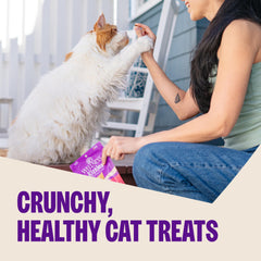 Wellness Kittles bocado crujiente de pollo y arándanos, ayuda dental suave