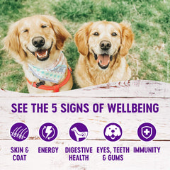 Wellness paté ingredientes naturales para perros