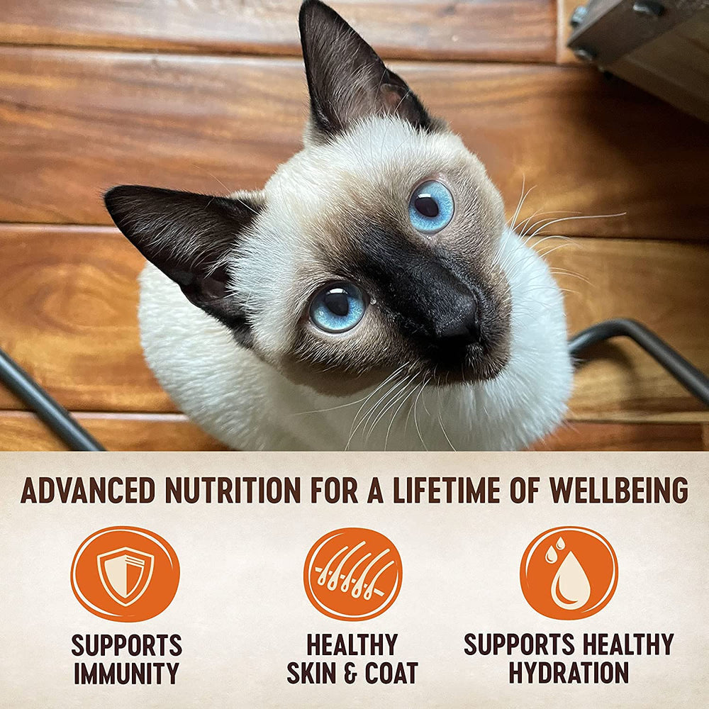 Wellness Natural Premium Gato Pate Pavo: opción suave y sabrosa para comidas diarias.