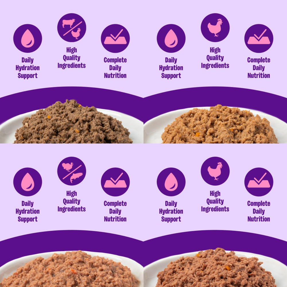 Wellness Natural Premium Paté para gatos: variedad de 4 sabores para elegir.