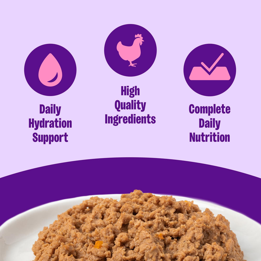 Wellness Pate: textura suave de paté de pollo para gatos adultos, palatabilidad y nutrición equilibrada.