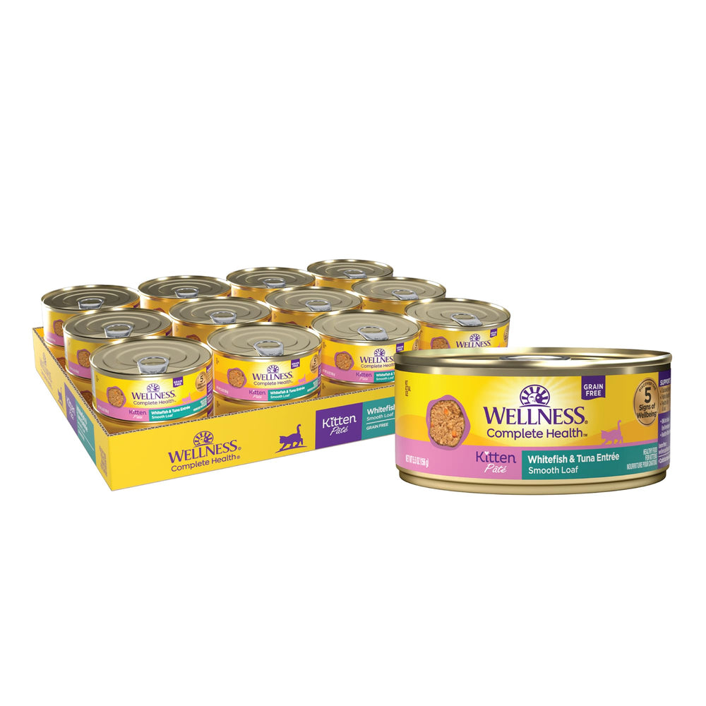 Wellness paté gatito: lata de pescado blanco para proteína de alta calidad y nutrición diaria.