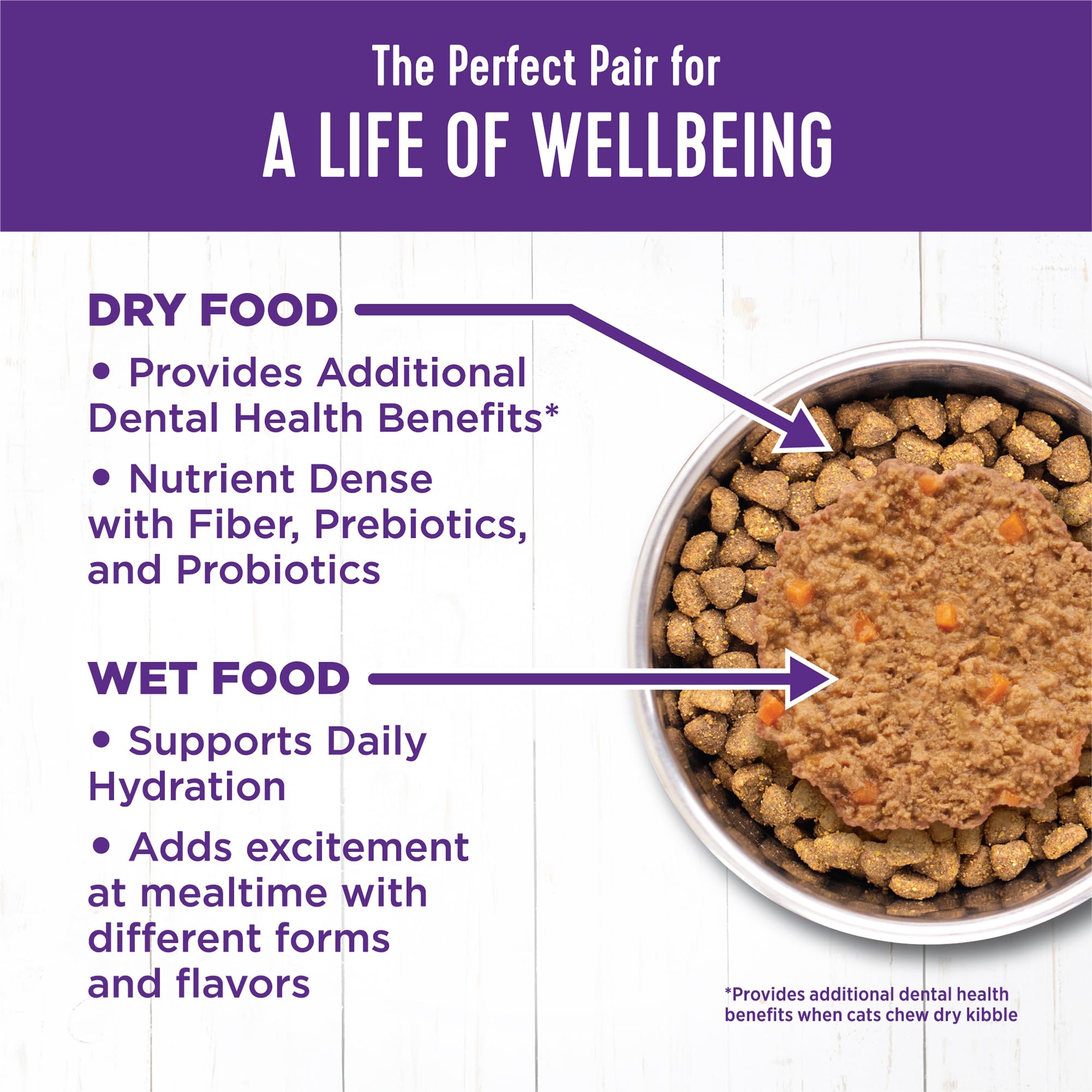 Wellness paté gatito: nutrición equilibrada y proteína de calidad.