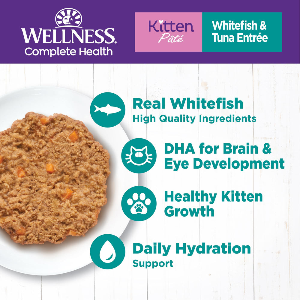 Wellness paté gatito: textura cremosa que facilita la ingestión y sabor irresistible.