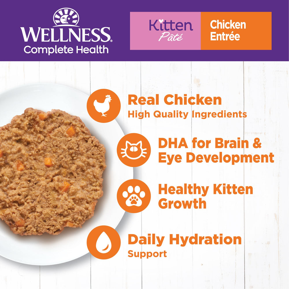 Wellness paté gatito textura cremosa: sabor suave que facilita la aceptación.