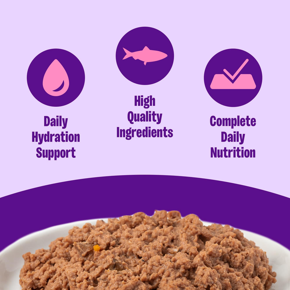 Wellness paté gatito: textura suave para comer con facilidad.