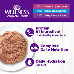 Wellness Complete Health Paté Pollo Langosta servir: opción sabrosa para hidratación diaria.