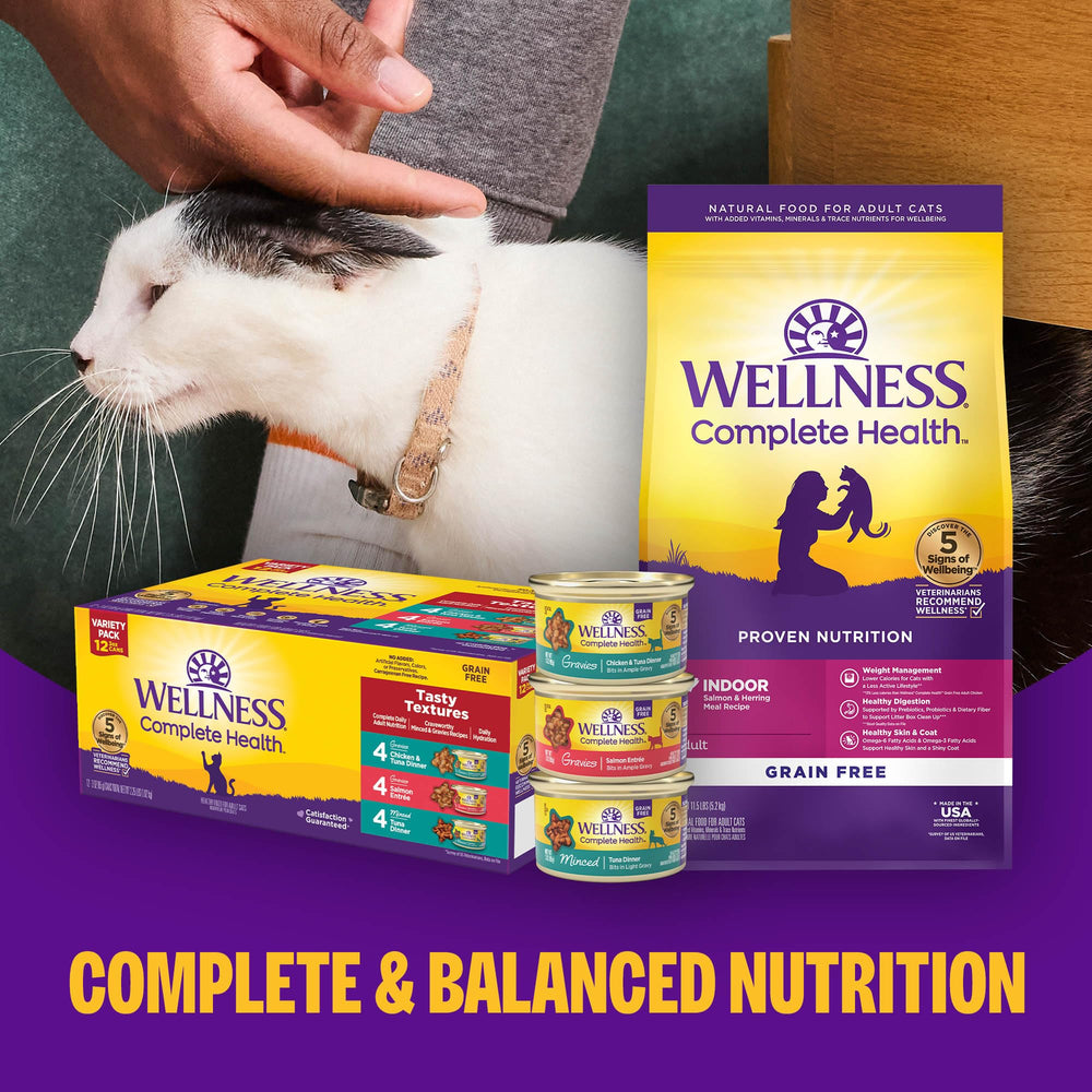Wellness Complete Health Paté Proteínas premium: balance diario para gatos adultos.
