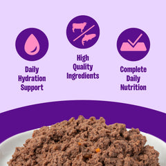 Wellness paté res y salmón: proteína de alta calidad para gatos adultos