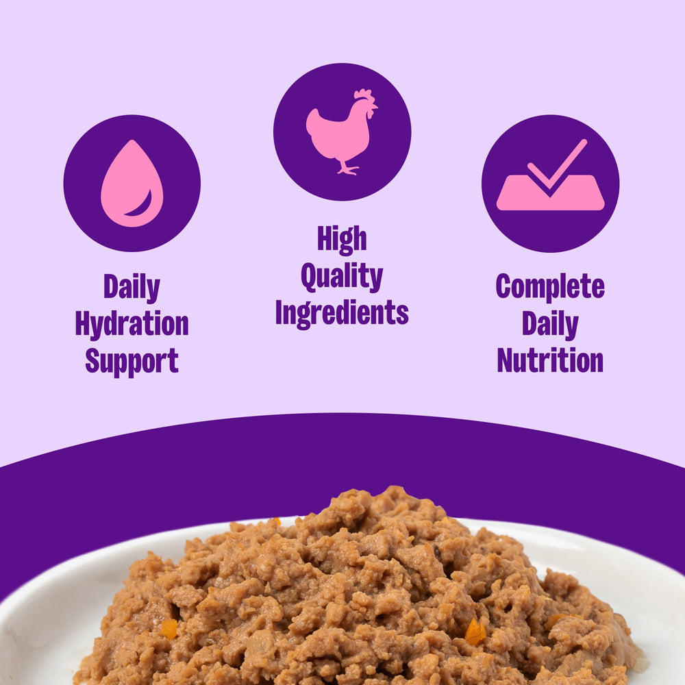 Wellness Pate Senior Textura Suave Lata: paté suave que facilita comer.