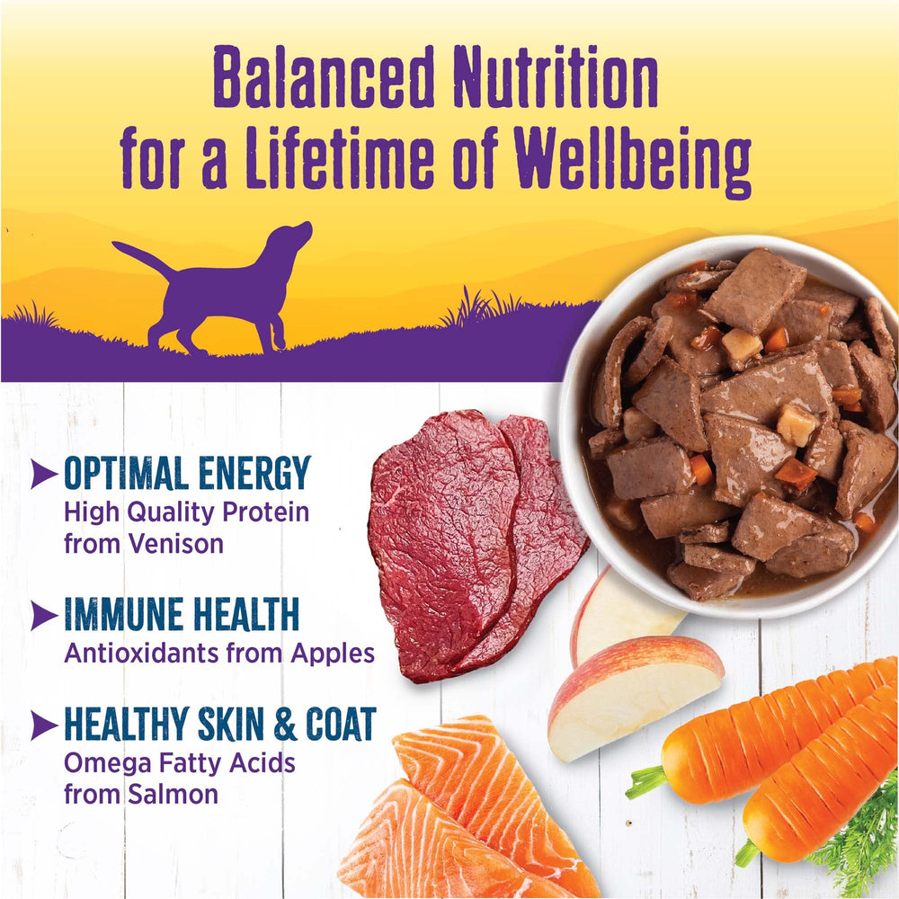Wellness perro disfruta estofado, experiencia natural y satisfactoria.