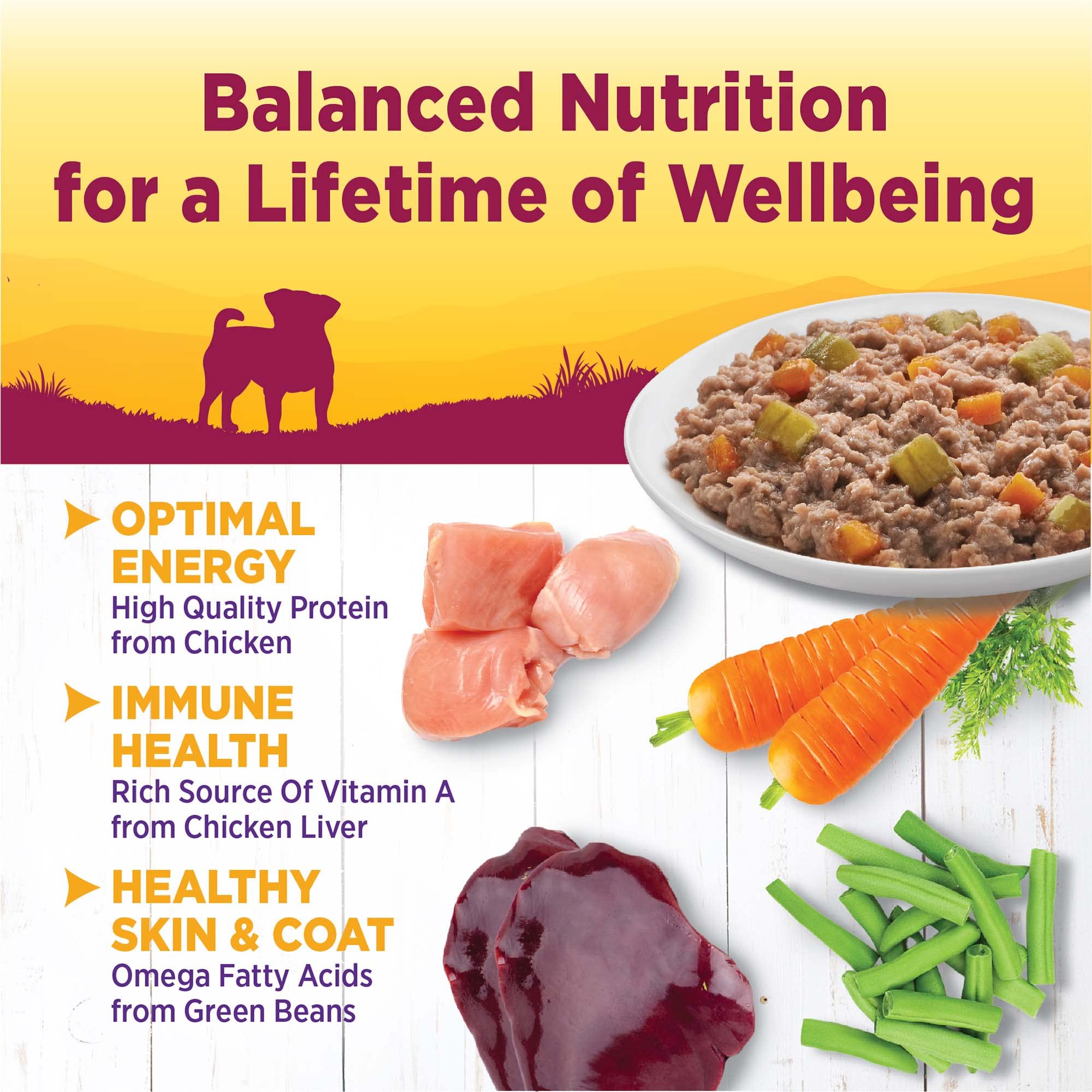 Wellness Petite Entrées con judías verdes y zanahorias para dieta equilibrada.