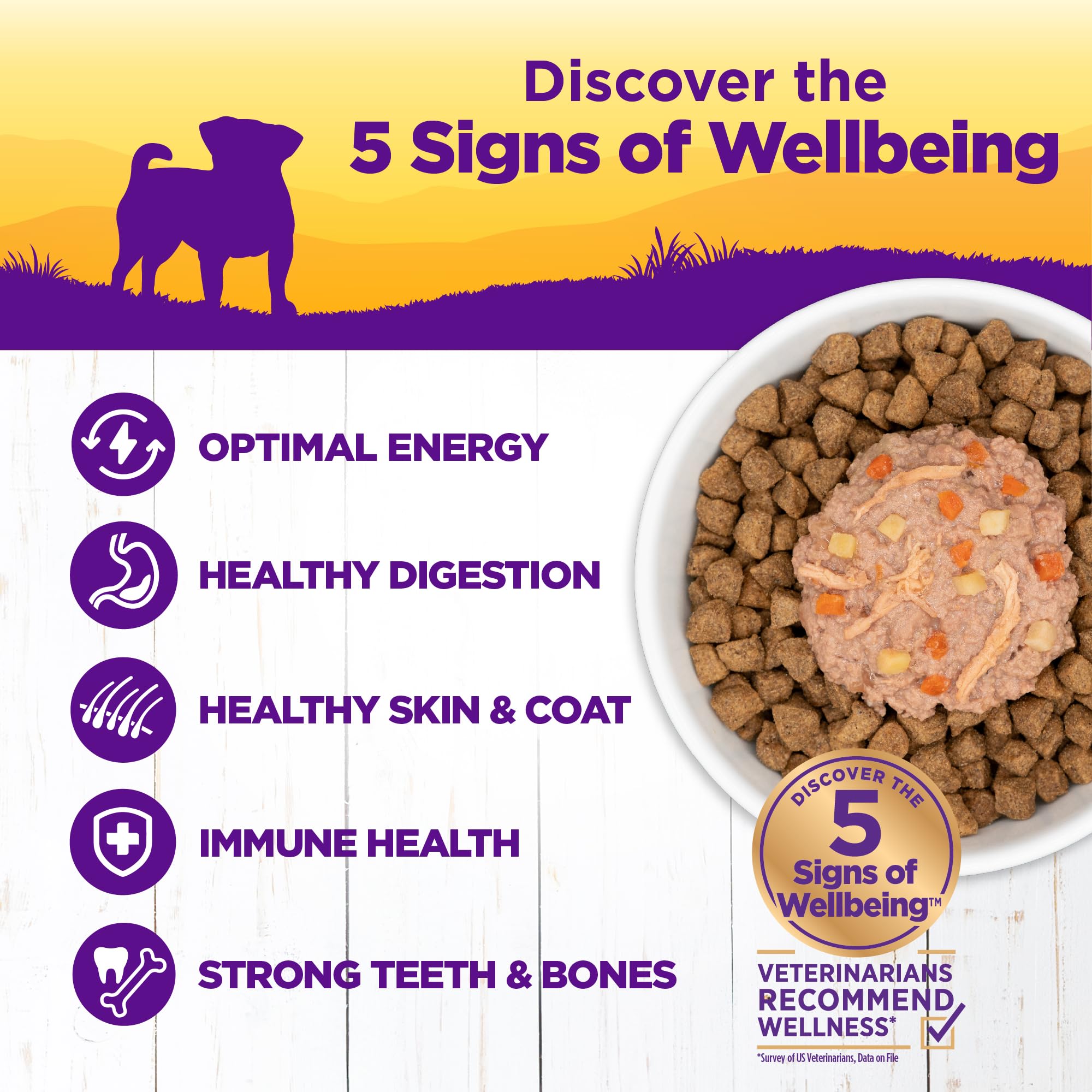 Wellness Petite Entrées: opción sabrosa para el almuerzo diario de tu perro.