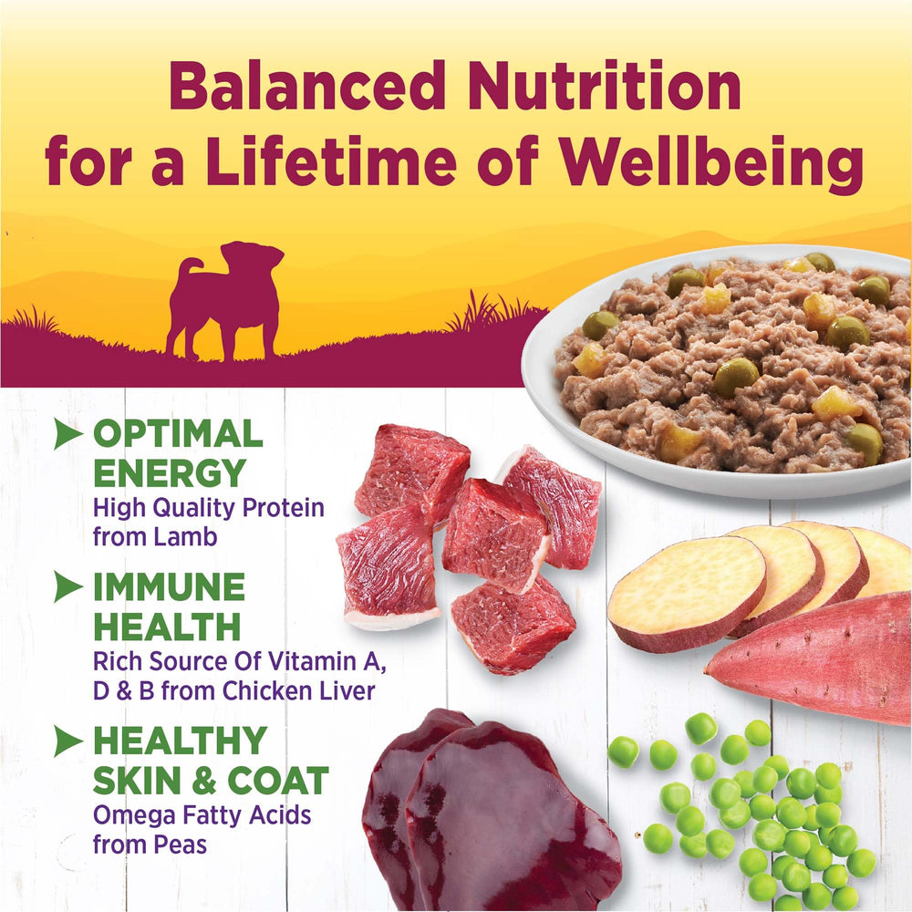 Wellness Petite Entrées: presentación de 3 onzas, porciones fáciles de servir para perros pequeños.